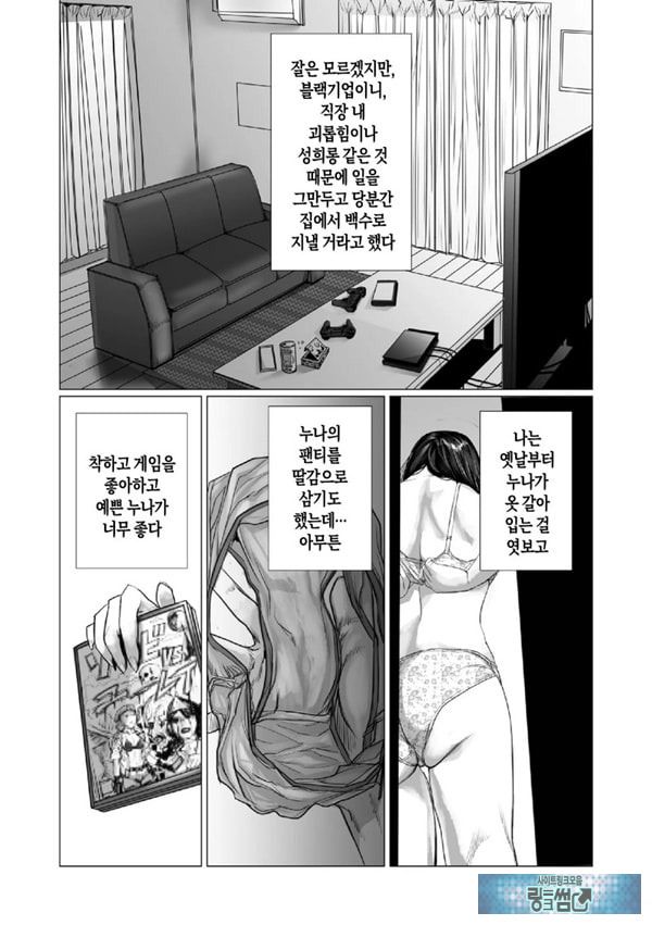 동생의 게임 뇌와 누나의 게임 성향
