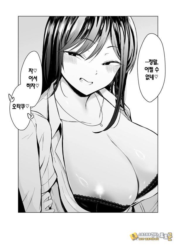 갸루와 오타쿠의 유전자 궁합 발군 H