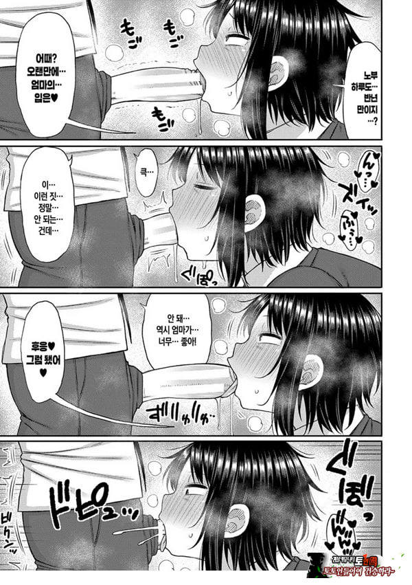 엄마를 좋아하는게 뭐가 나빠