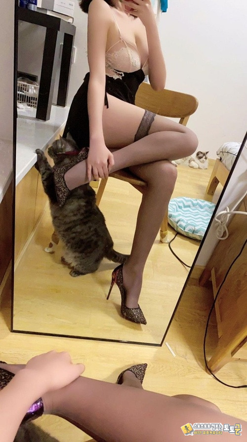시선 끌리는 사진