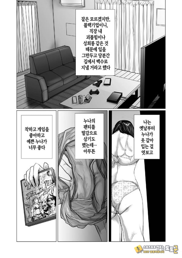 동생의 게임 뇌와 누나의 게임 성향