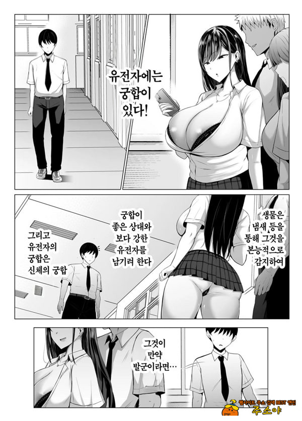 갸루와 오타쿠의 유전자 궁합 발군 H