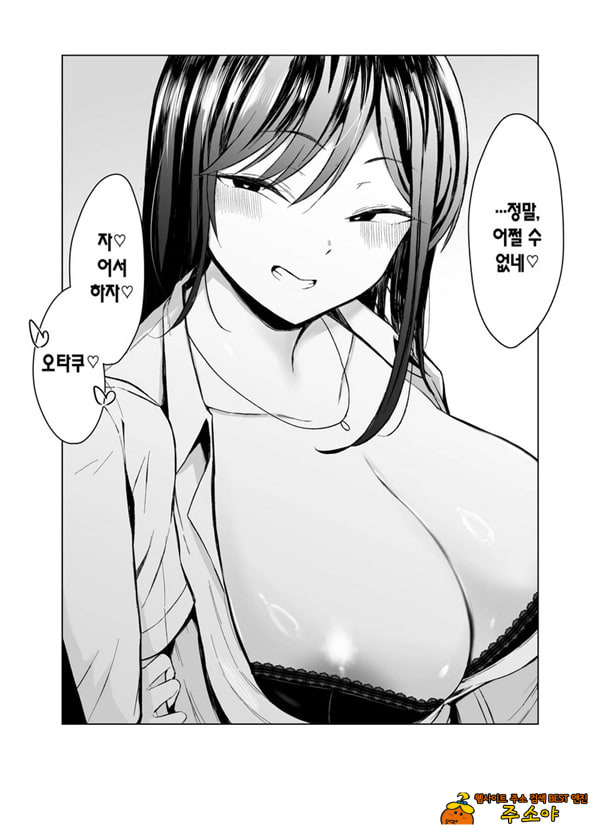 갸루와 오타쿠의 유전자 궁합 발군 H