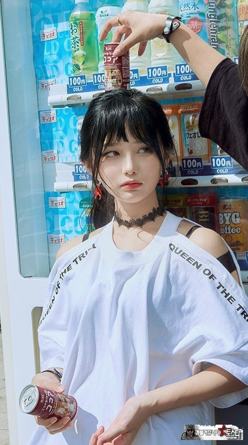 전문 모델의 다양함