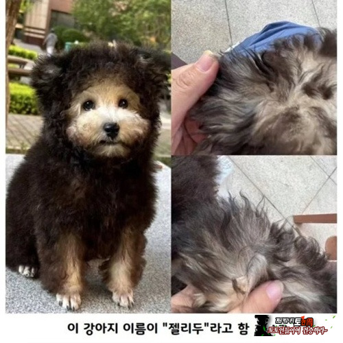 옷 입은거 아님