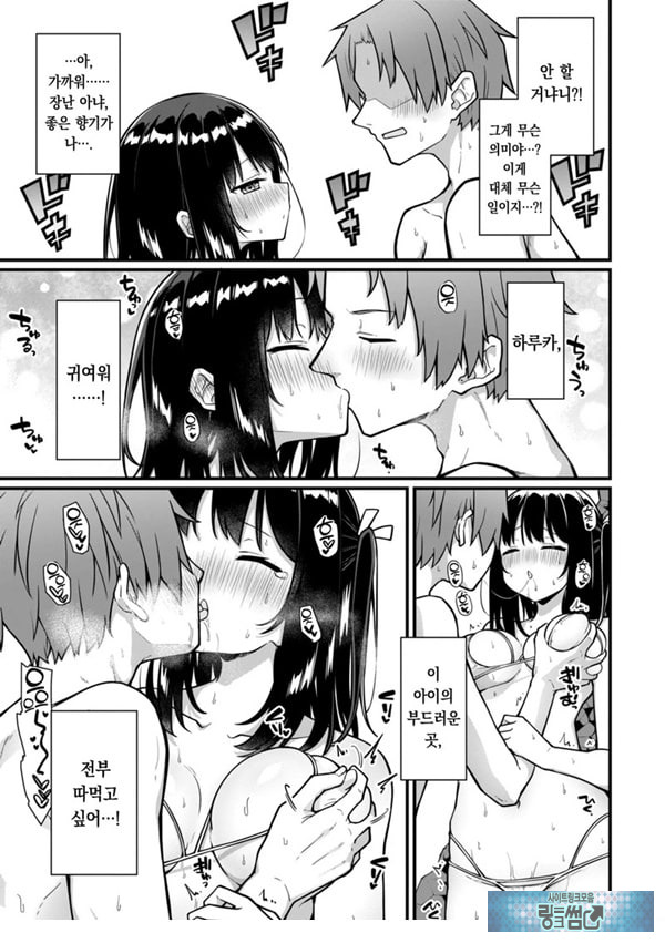 오픈☆썸머 대작전