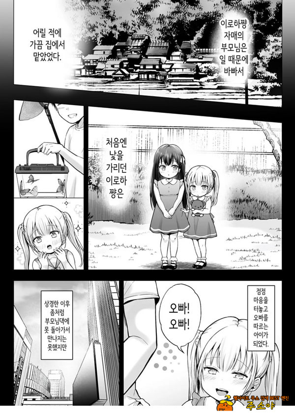 여름방학의 하렘·여동생