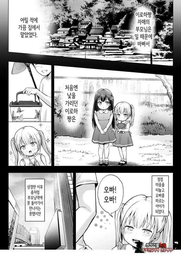 여름방학의 하렘·여동생