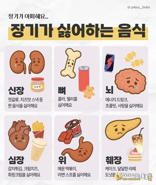 나약한 장기놈들 내가 좋아하는건 다 싫어하네
