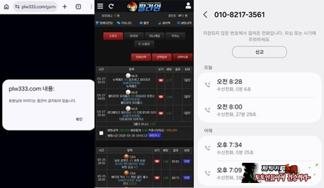 팔라완 먹튀 확정
