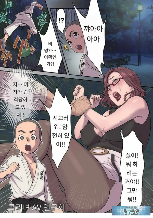 크리 여배우 AV 연구회