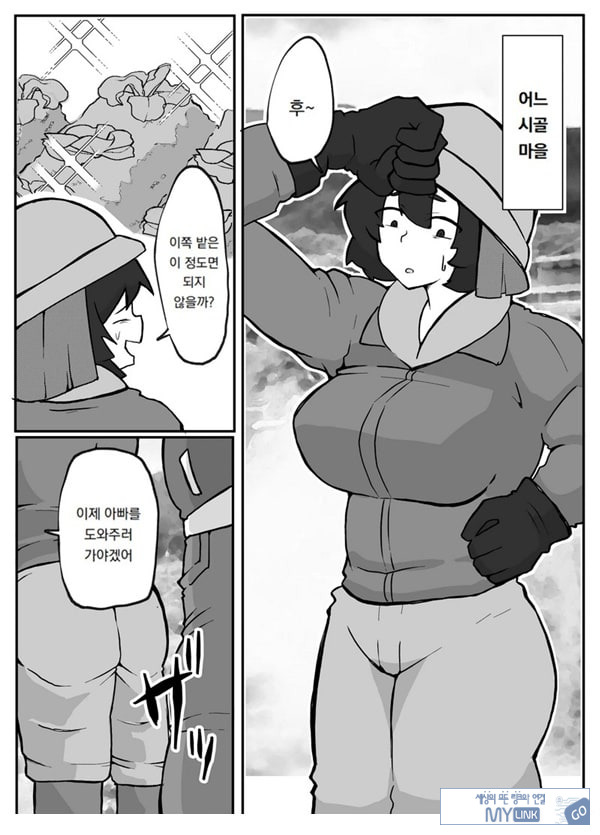 어느 시골마을의 주부 연속 강간 사건