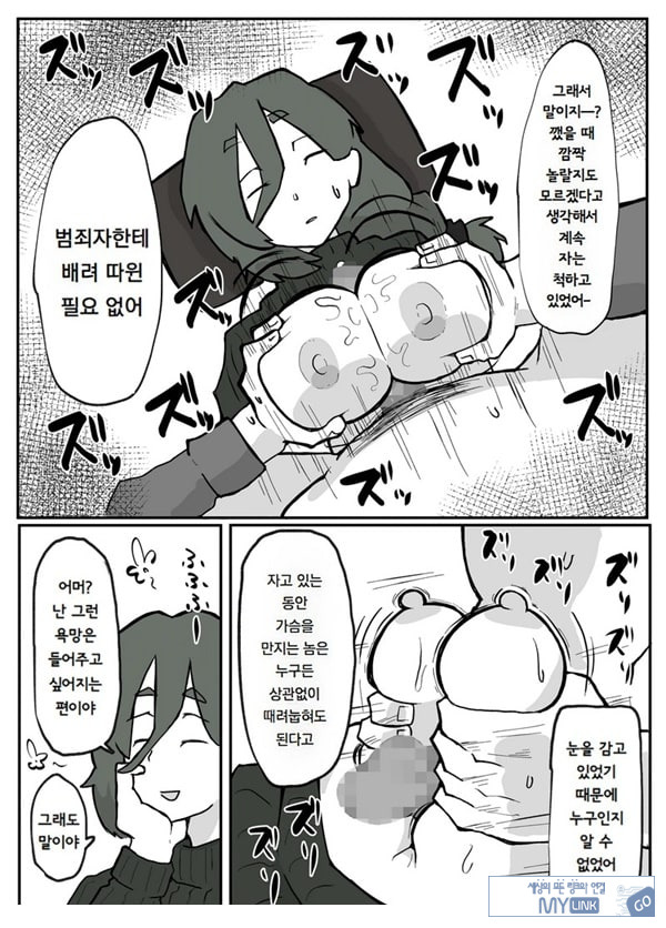 어느 시골마을의 주부 연속 강간 사건