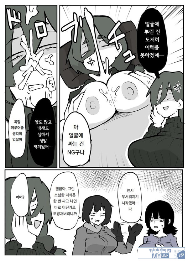 어느 시골마을의 주부 연속 강간 사건