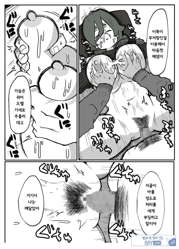 어느 시골마을의 주부 연속 강간 사건