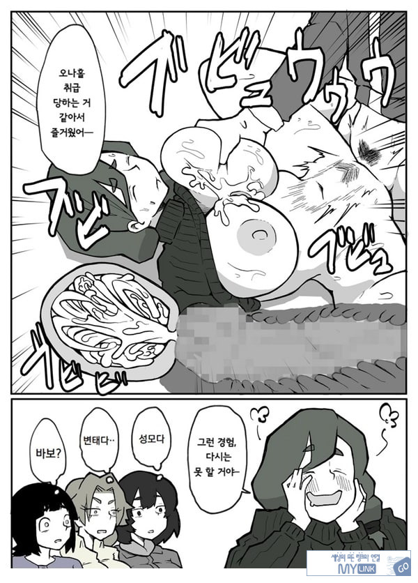 어느 시골마을의 주부 연속 강간 사건