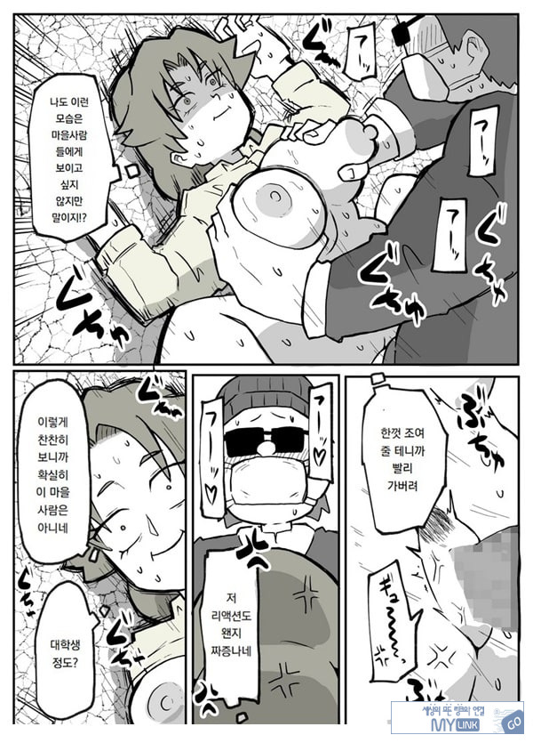 어느 시골마을의 주부 연속 강간 사건