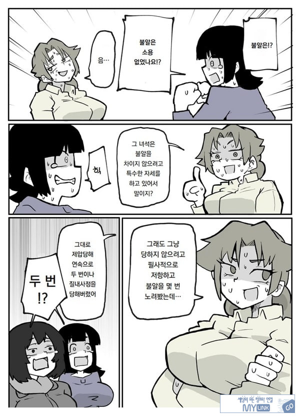 어느 시골마을의 주부 연속 강간 사건