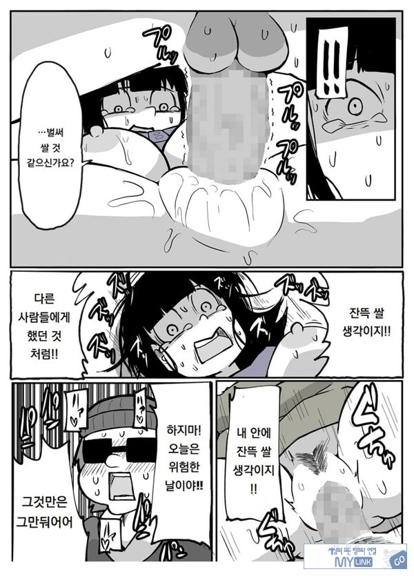어느 시골마을의 주부 연속 강간 사건