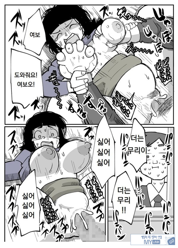 어느 시골마을의 주부 연속 강간 사건