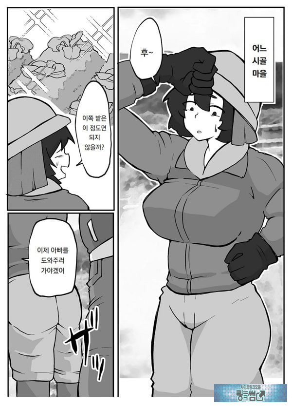 어느 시골마을의 주부 연속 강간 사건