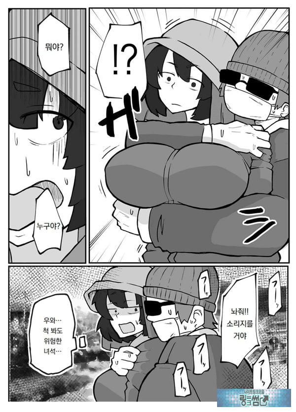 어느 시골마을의 주부 연속 강간 사건