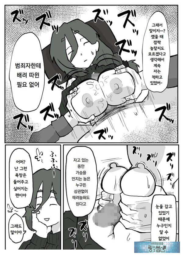 어느 시골마을의 주부 연속 강간 사건