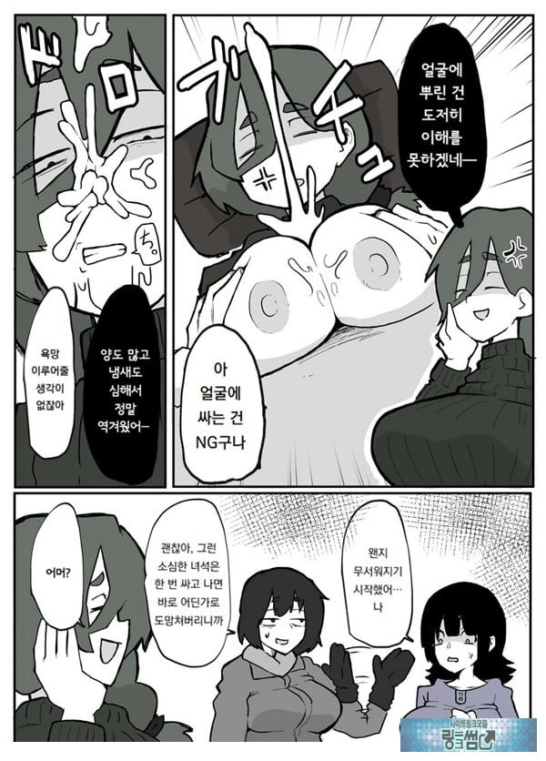 어느 시골마을의 주부 연속 강간 사건