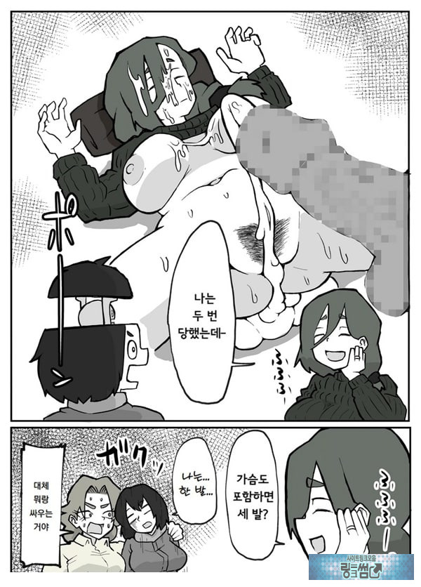 어느 시골마을의 주부 연속 강간 사건