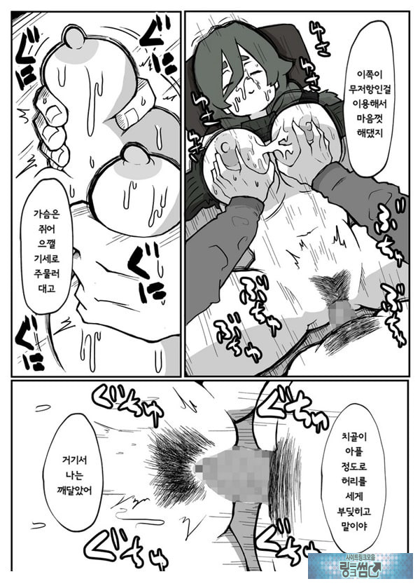어느 시골마을의 주부 연속 강간 사건