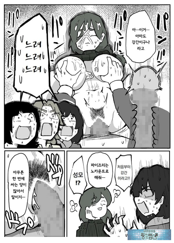 어느 시골마을의 주부 연속 강간 사건