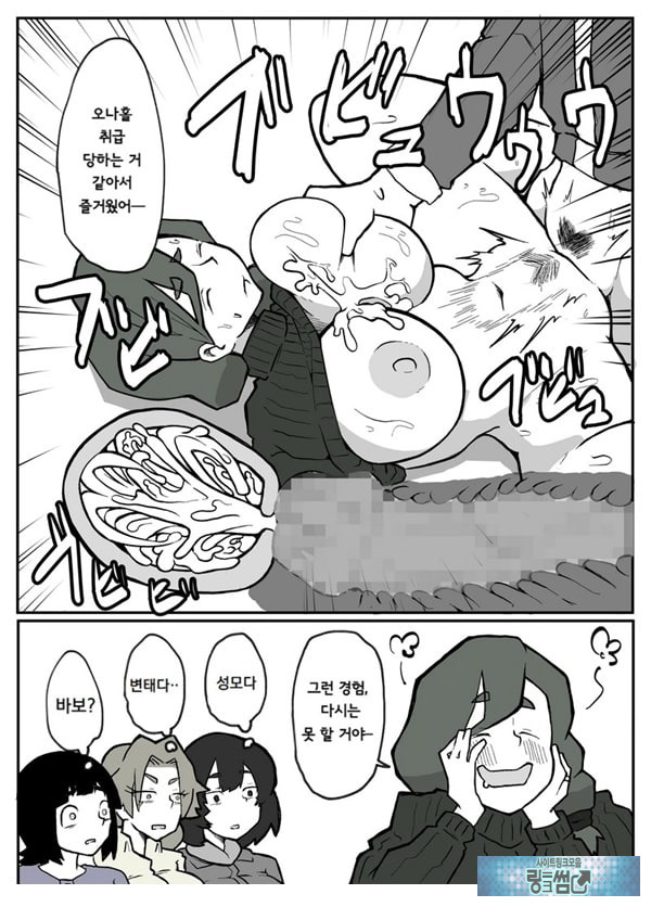 어느 시골마을의 주부 연속 강간 사건