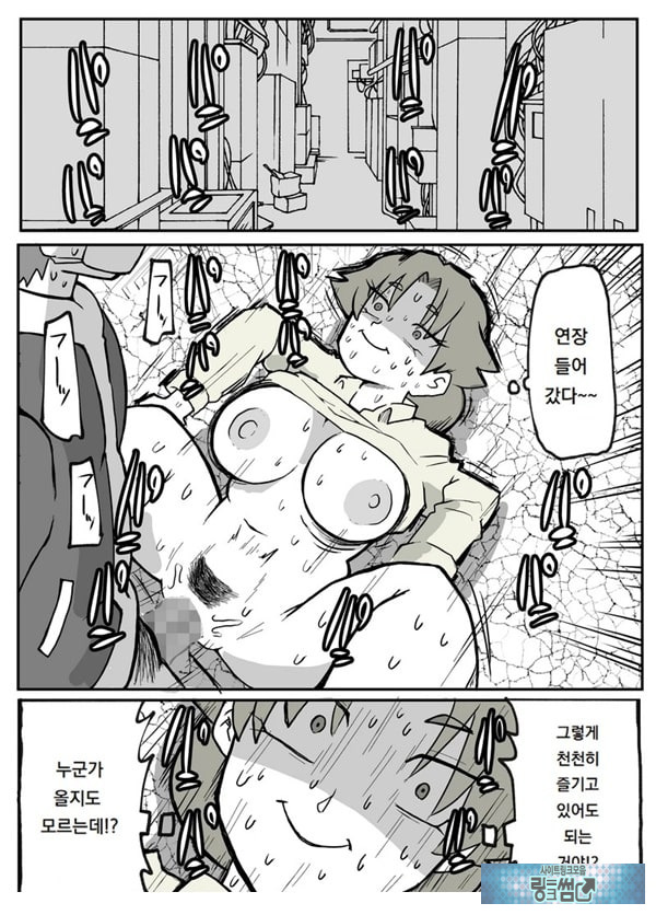어느 시골마을의 주부 연속 강간 사건