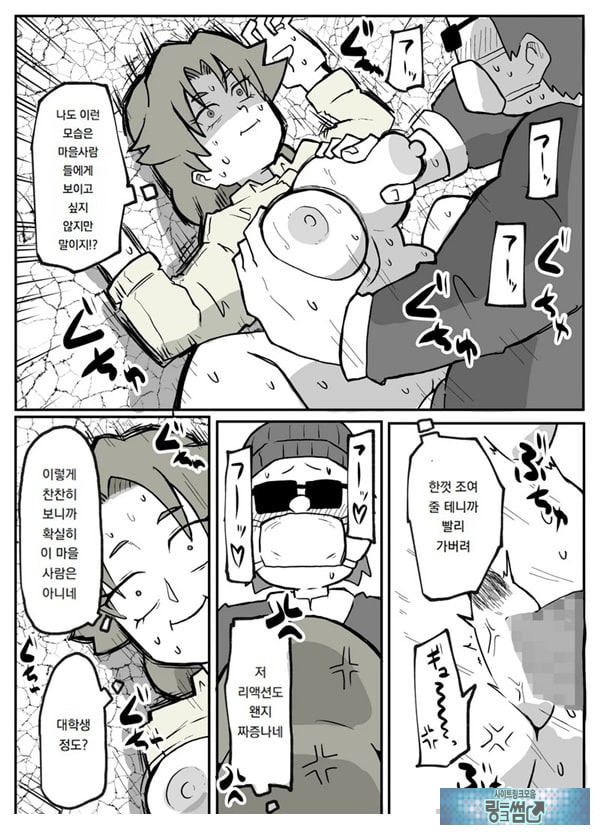 어느 시골마을의 주부 연속 강간 사건