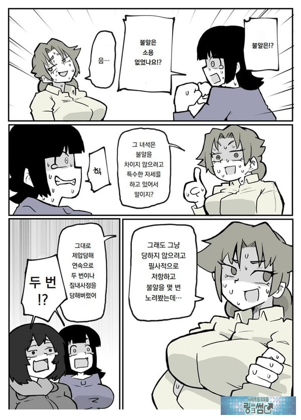 어느 시골마을의 주부 연속 강간 사건