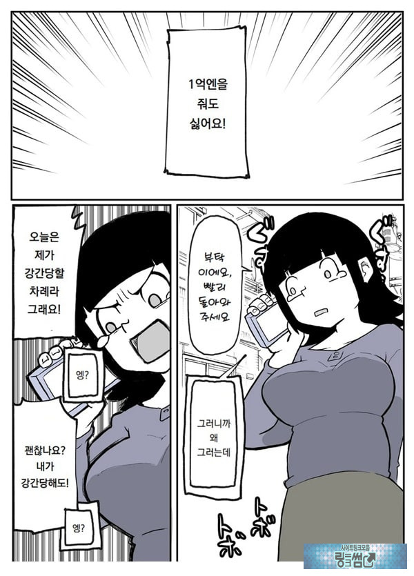 어느 시골마을의 주부 연속 강간 사건