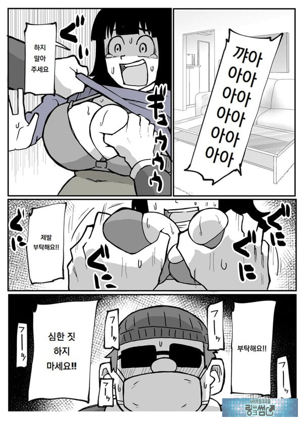 어느 시골마을의 주부 연속 강간 사건