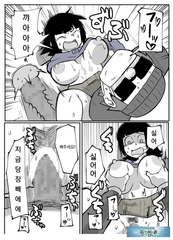 어느 시골마을의 주부 연속 강간 사건