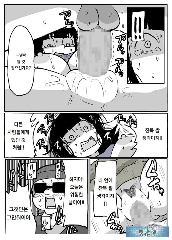 어느 시골마을의 주부 연속 강간 사건