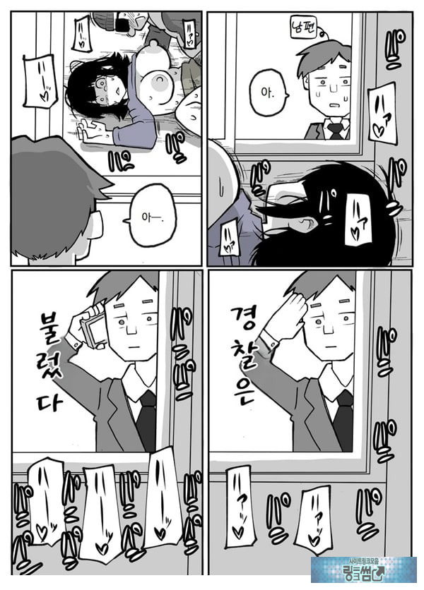 어느 시골마을의 주부 연속 강간 사건