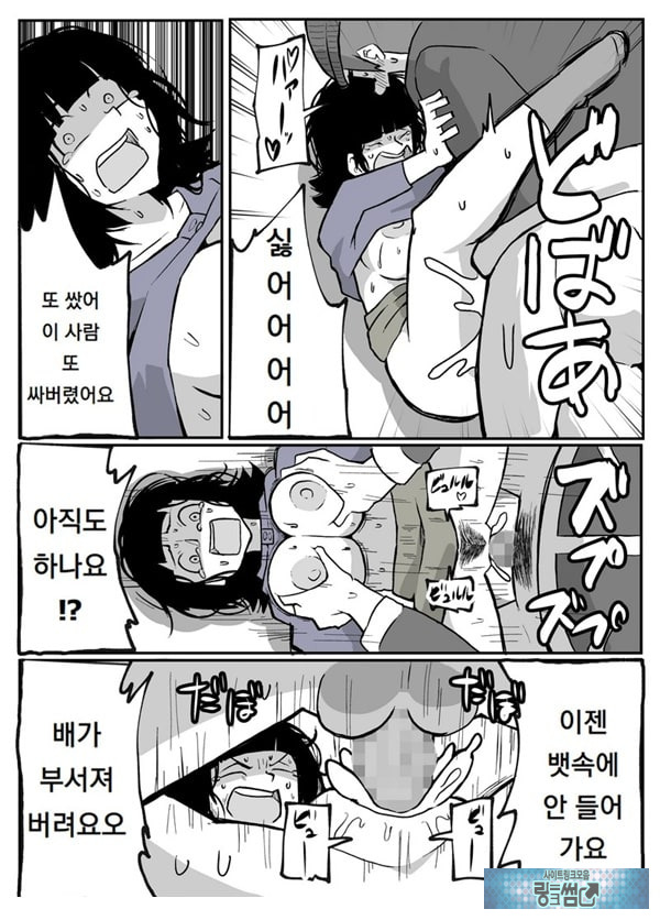 어느 시골마을의 주부 연속 강간 사건