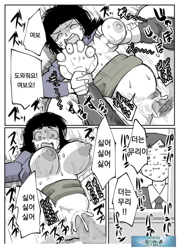 어느 시골마을의 주부 연속 강간 사건