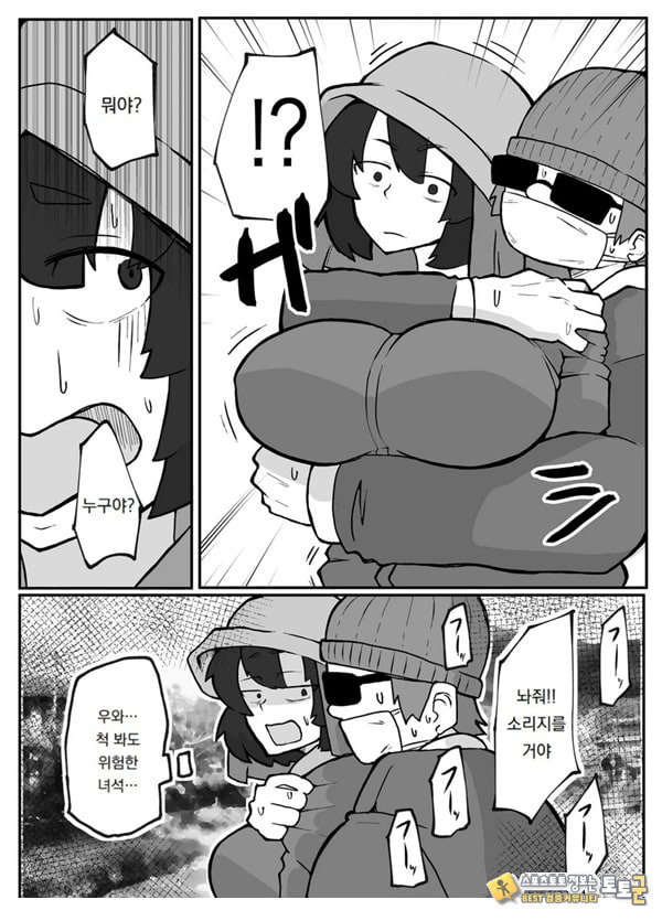 어느 시골마을의 주부 연속 강간 사건