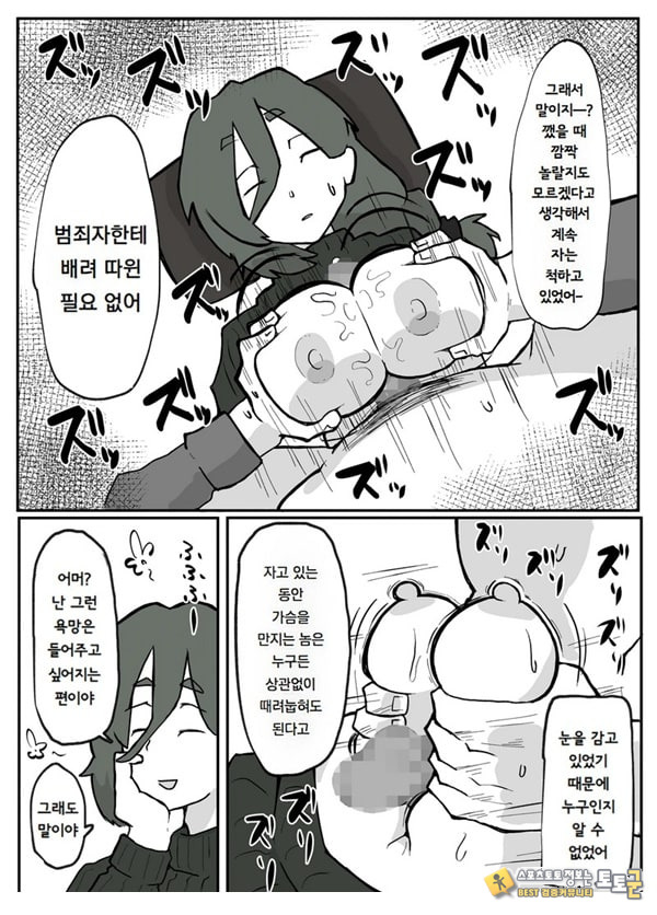 어느 시골마을의 주부 연속 강간 사건