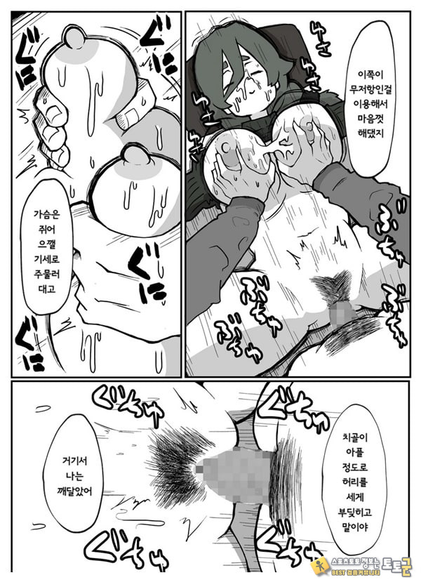 어느 시골마을의 주부 연속 강간 사건