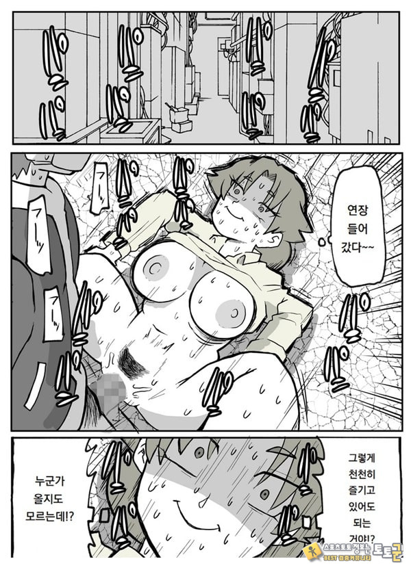 어느 시골마을의 주부 연속 강간 사건