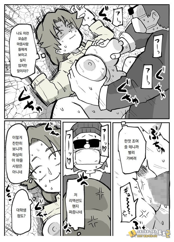 어느 시골마을의 주부 연속 강간 사건