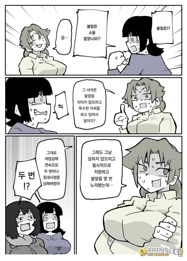 어느 시골마을의 주부 연속 강간 사건