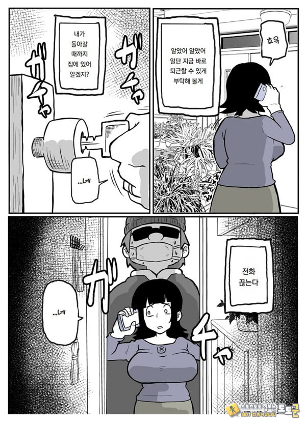 어느 시골마을의 주부 연속 강간 사건