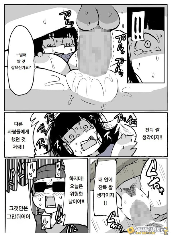 어느 시골마을의 주부 연속 강간 사건